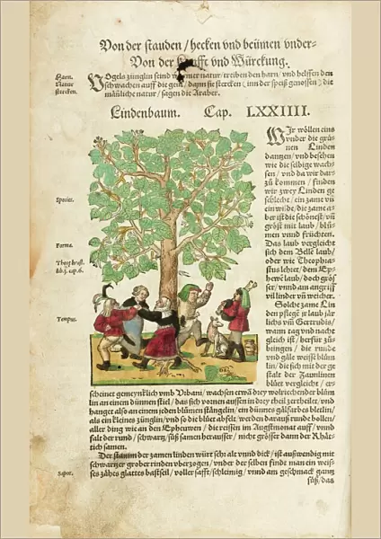 Peasants dancing round linden tree (full page)