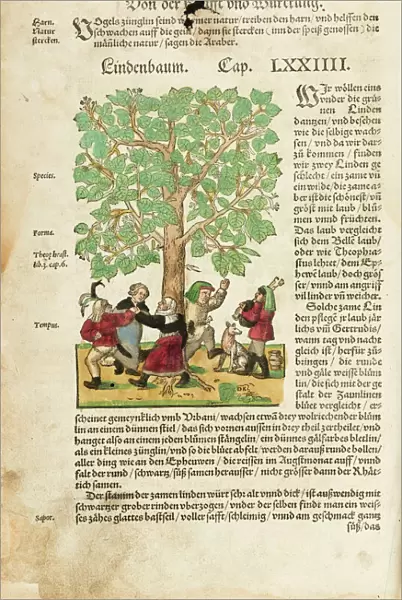 Peasants dancing round linden tree (full page)