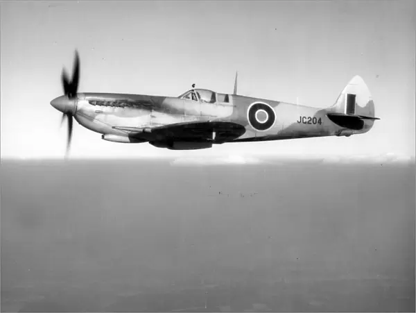 Supermarine Spitfire VIII, JC204