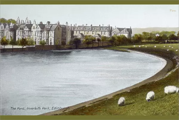 The Pond - Inverleith, Edinburgh