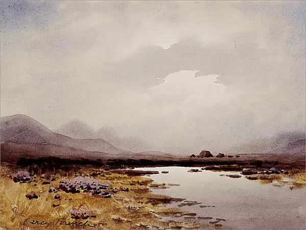 Landscape near Falcarragh, Co. Donegal