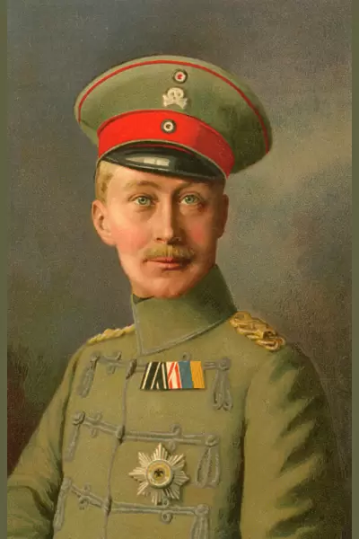 Crown Prince Wilhelm of Germany, WW1