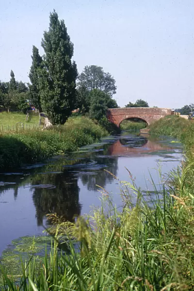 Bridgwater and Taunton Canal, Somerset