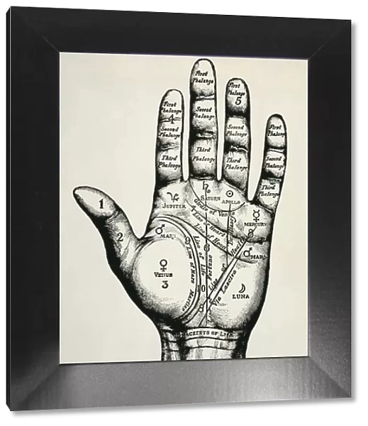 Palmistry. Planetary and zodiacal diagram of the