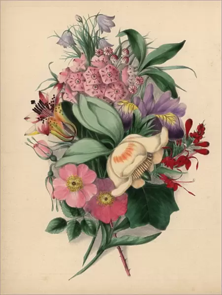 Bouquet of wild flowers: tulip tree, wild roses