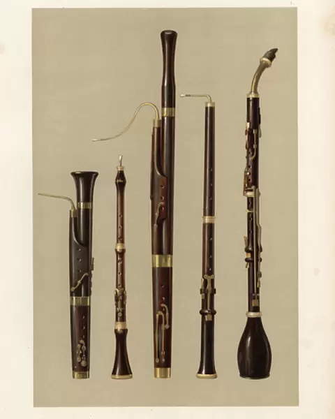 Dolciano, oboe, bassoon, oboe da caccia and basset horn
