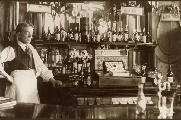 Barman standing by well-stocked bar