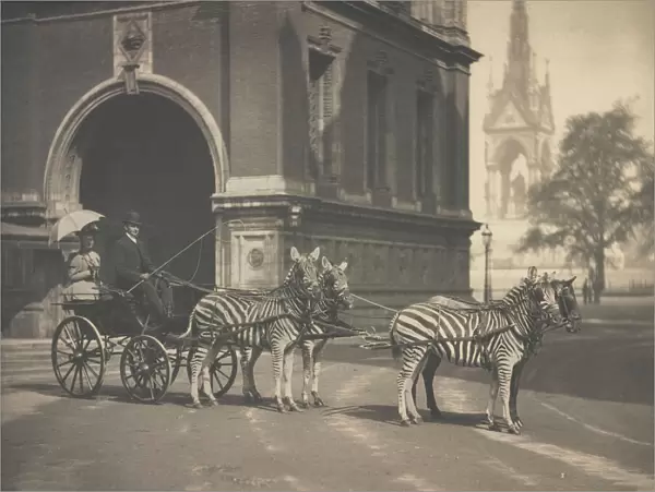 Zebra-drawn trap of Lord Walter Rothschild