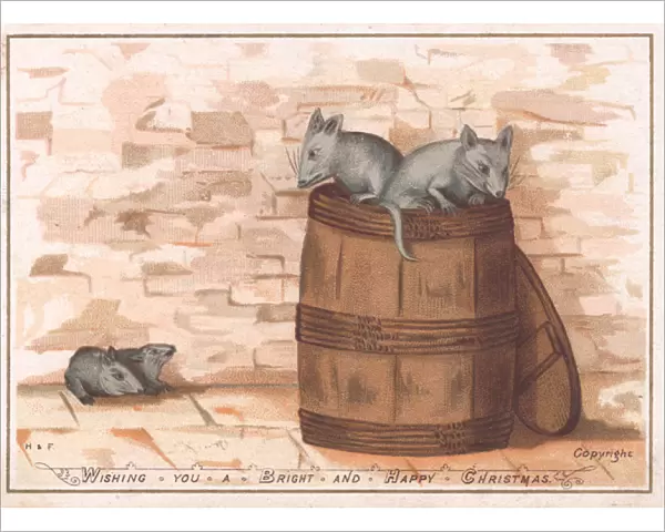 Four rats and a barrel on a Christmas card
