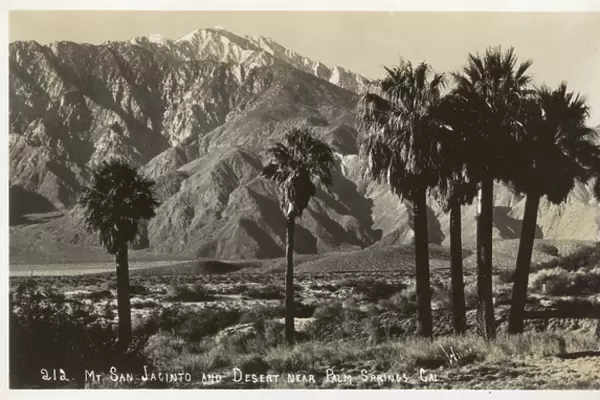 Desert near Palm Springs, California, USA