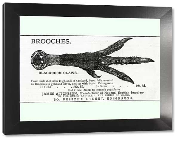 Advert for James Aitchison brooches 1883
