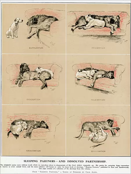 Sleeping Partners and Dissolved Partnership, Cecil Aldin