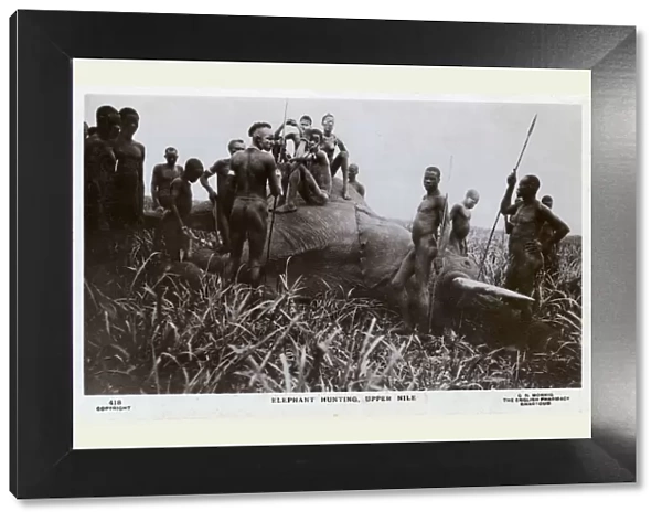 Elephant Hunting, Upper Nile, Sudan, Africa