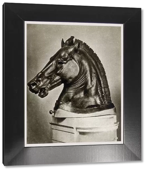 Detached head - Bronze Greek Equestrian sculpture - Florence