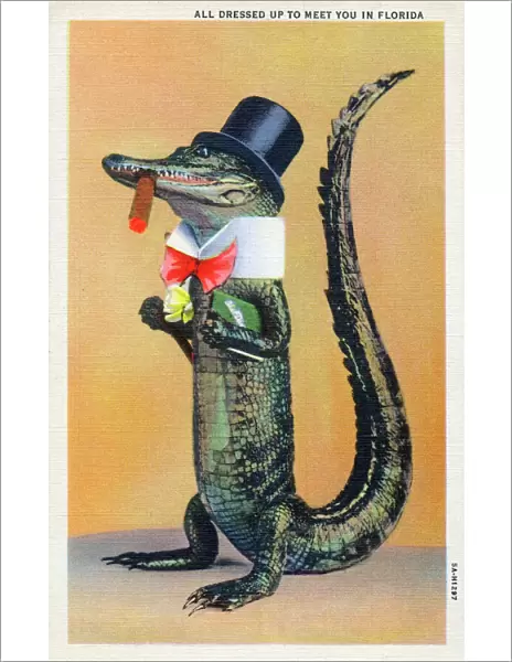 An Alligator - all dressed up to meet you in Florida, USA
