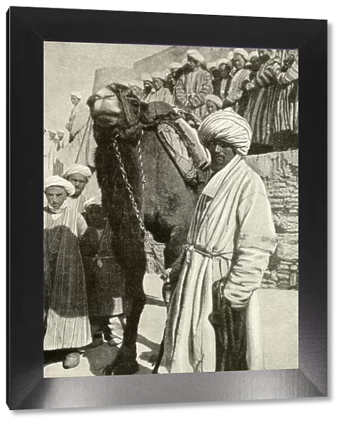 Camel rider in Bukhara, Uzbekistan, Central Asia