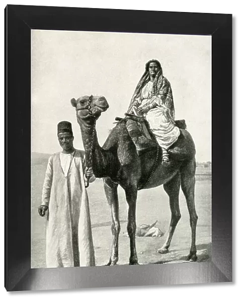 Camel in Nubian Desert, South Sudan, East Central Africa