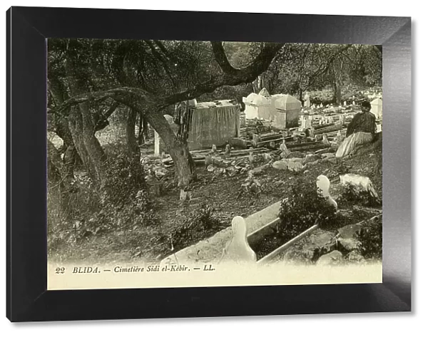 Blida, Algeria - the cemetery of Sidi el-Kebir