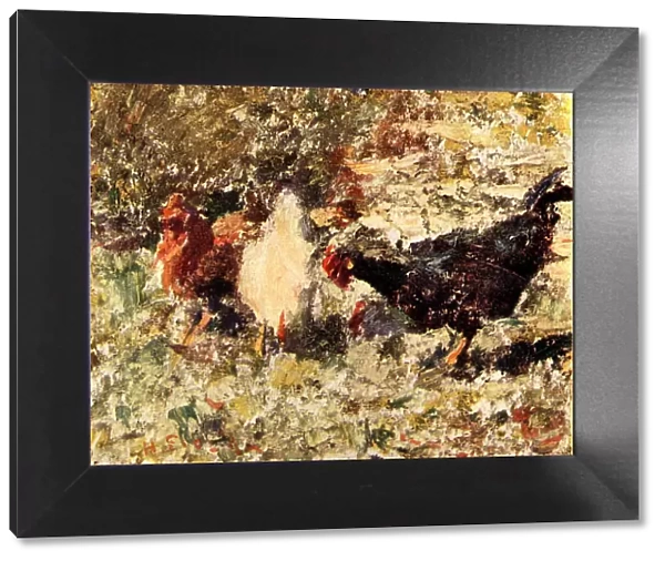 Peace. This oil painting showcases a trio of hens, coloured black, white