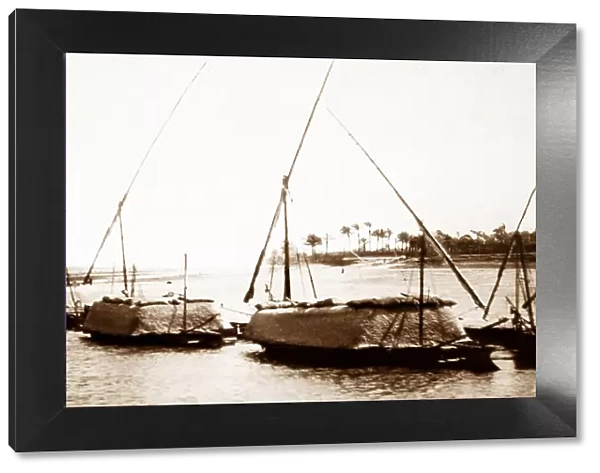River Nile sailing boats loaded with grain, Egypt