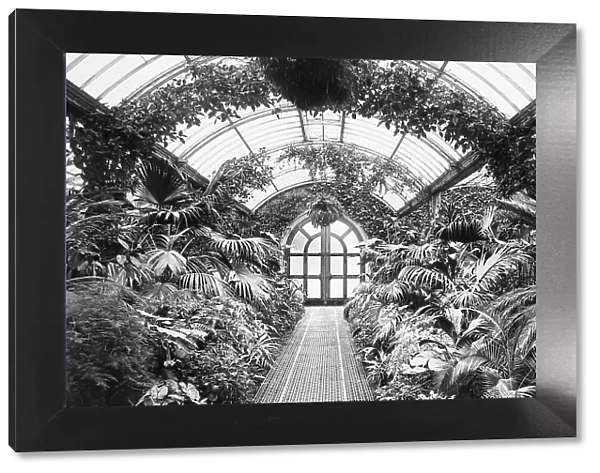 Welbeck Abbey The Palm House Victorian period