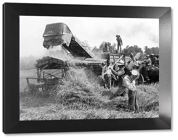 Threshing wheat in Illinois USA early 1900s