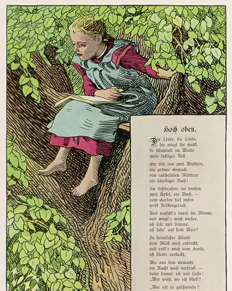Girl Reading in Tree