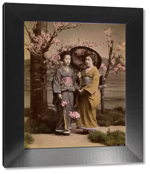 Two geishas and a parasol