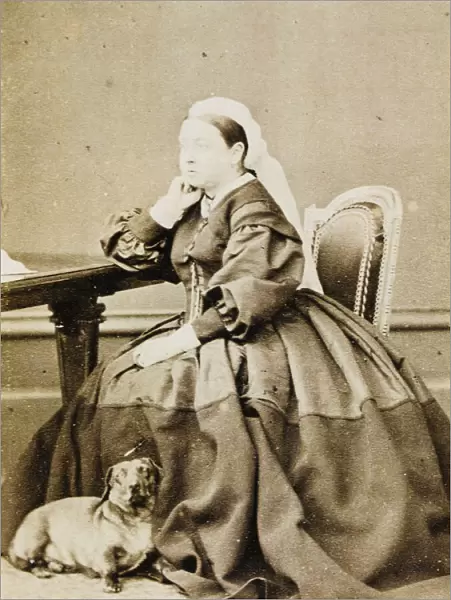Queen Victoria  /  Dachshund