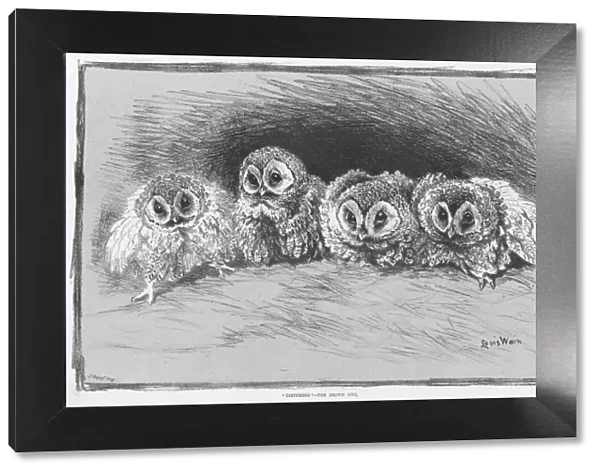 Disturbed - the Brown Owl by Louis Wain