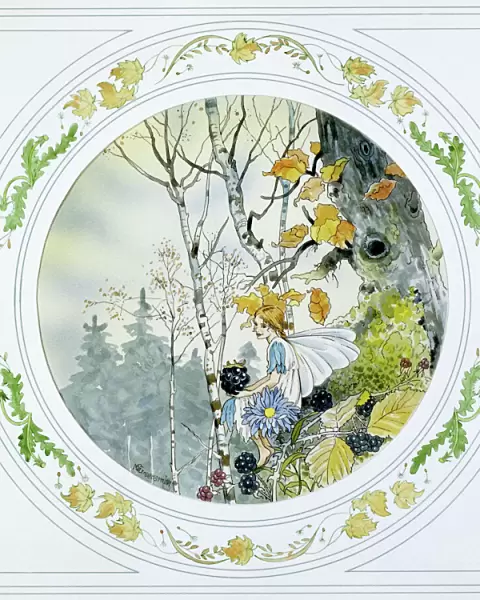 Autumnal Scene with Fairy & Blackberries