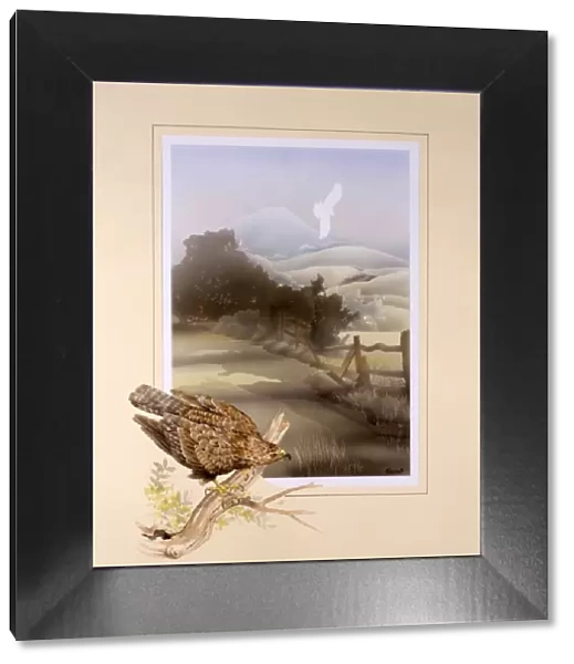 Buzzard and countryside landscape