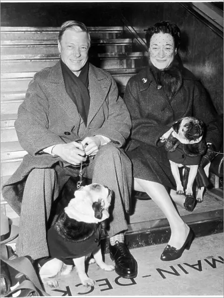 Duke and Duchess of Windsor with their pugs