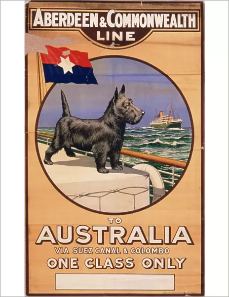Poster for Aberdeen & Commonwealth Line to Australia