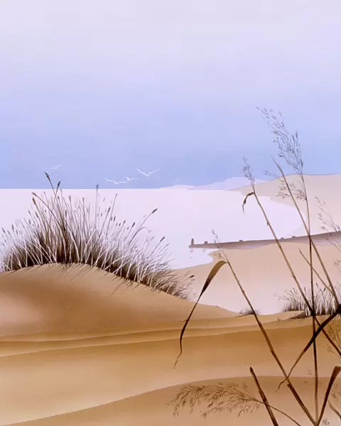 Dune Grass - Picture 1 of 2