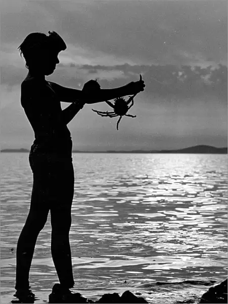 Boy silhouetted against the sky, holding a crab