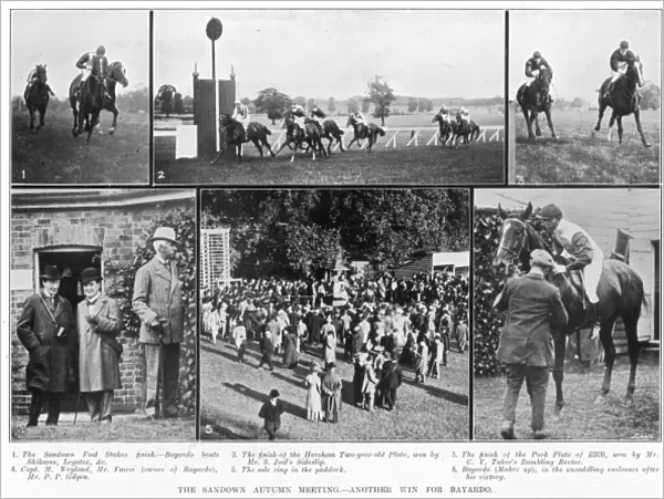 Horse racing at Sandown