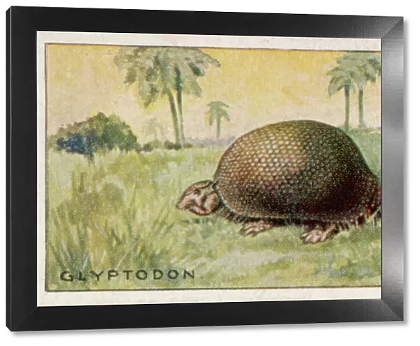 Glyptodon doedicurus, extinct animal