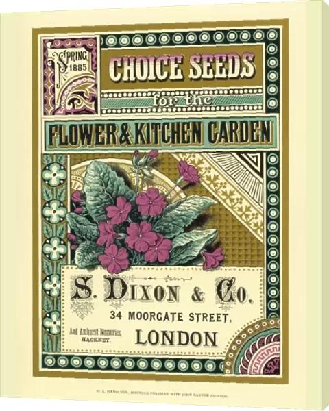 S Dixon & Co seed catalogue