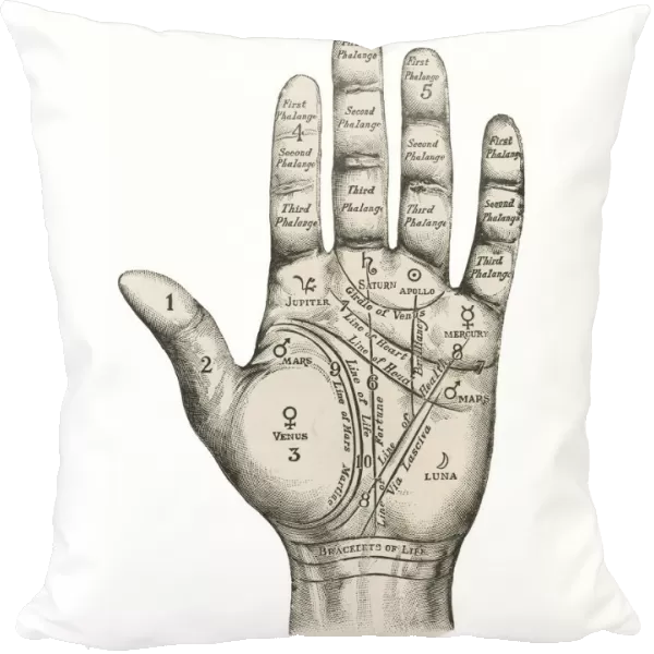 Palmistry map of the hand