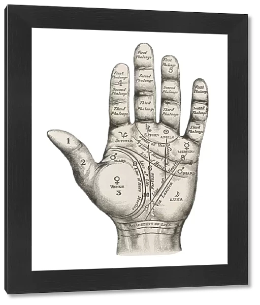 Palmistry map of the hand