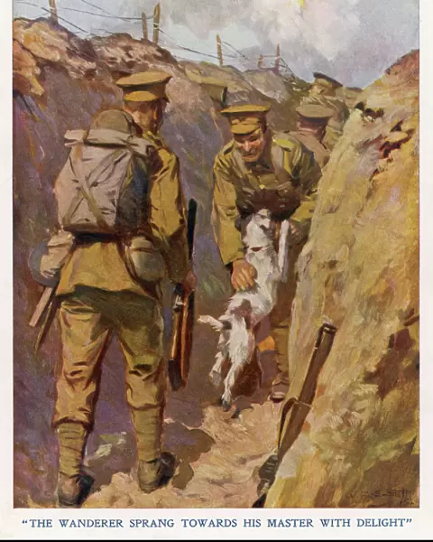 Dog and owner reunited in the trenches, France