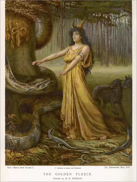 Medea and the Fleece