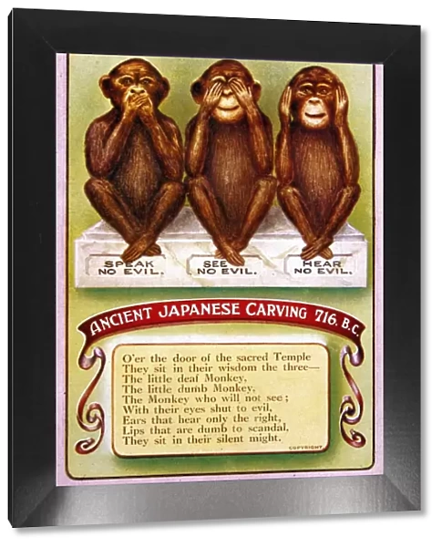 3 Wise Monkeys  /  Japanese