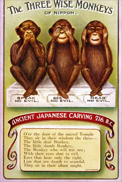 3 Wise Monkeys  /  Japanese
