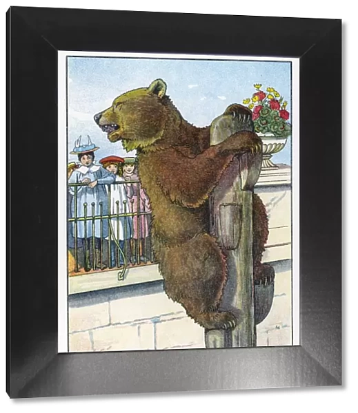Bears  /  Book of Animals