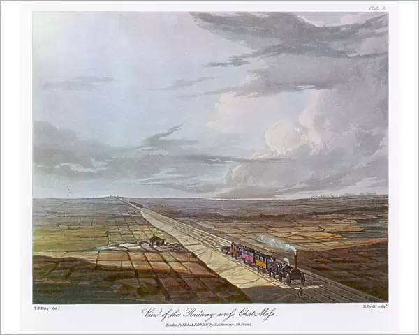 Rail  /  Chat Moss  /  1831