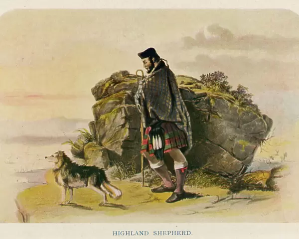 A Highland Shepherd