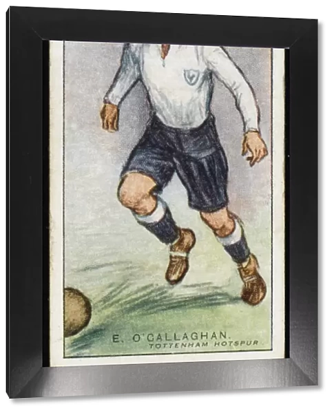 O callaghan  /  Tottenham Hs