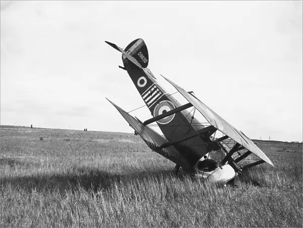 Sopwith Camel biplane in forced landing, France, WW1